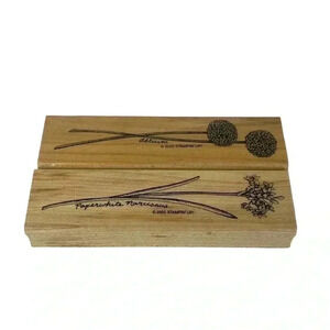 STAMPIN UP STEM FLOWER ALLIUM PAPERWHITE NARCISSUS WOOD MOUNT RUBBER STAMPS